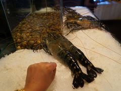 -Ministry of Crab(科伦坡店)