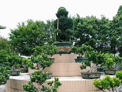 -广东圆玄道观