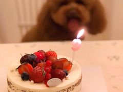 -美丽心情蛋糕(江苏路店)