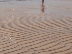 -阳光海岸露营公园