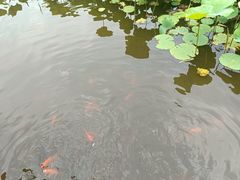-龙头寺公园