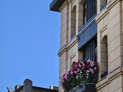 -五马集·海鲜·温州大牌档(黑金冠五马街十字路口店)