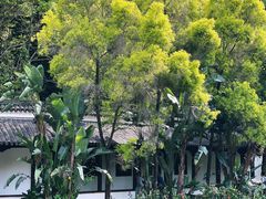 -深圳国际园林花卉博览园