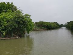 -大湾区中央湿地公园