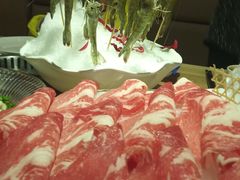 深水虾-尚海豆捞(乐虹坊店)