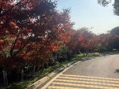 -南京市江宁方山