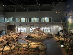 -自贡恐龙博物馆