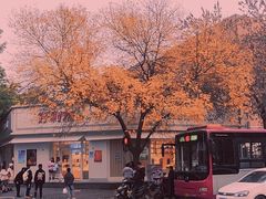 -好利来(槐中店)