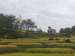 -和顺古镇