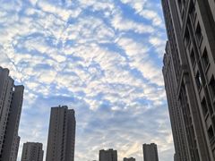 -京玉菲饭店(李村店)