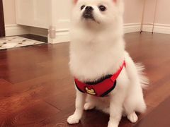 -梅记大块头爆鱼店(乍浦路店)