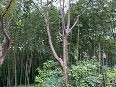 -苏州河梦清园环保主题公园