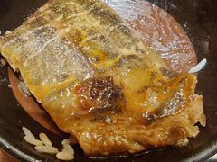 -甲鱼张甲鱼铺子(观沙岭店)