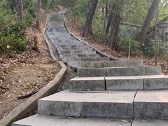 -火炉山森林公园