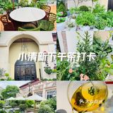 坐在綠植茵茵的室外很愜意，還有氛圍感十足的喷泉可以欣賞