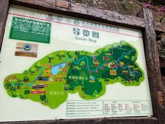 -西双版纳原始森林公园