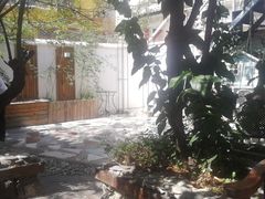 -喵屿·大理花园猫咖