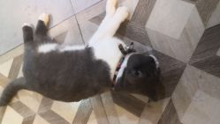 -男人味男士理发馆barbershop