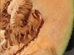 哈密瓜-壹号果仓(常熟三店)