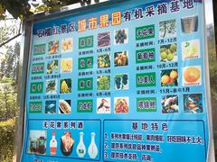 -武汉世外桃源农庄