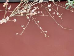 -钱王祠