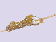 -京城羊坊涮羊肉馆(湖北路店)