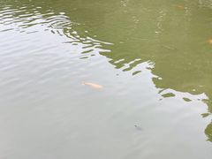 -西禅古寺售票处