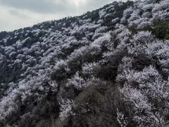 -阳台山自然风景区