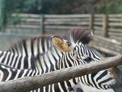 -泉州海丝野生动物世界