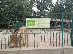 -保定市动物园