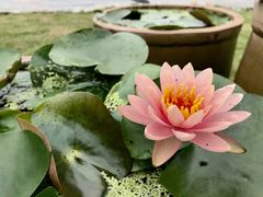 -中国天府农业博览园