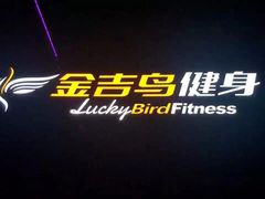 -金吉鸟健身游泳