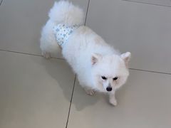 -怪兽屋·羊驼·猫咖·狗咖(俊华广场店)
