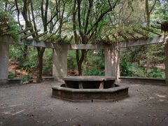 -武汉大学-樱园