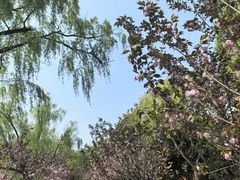 -上海交通大学(闵行校区)