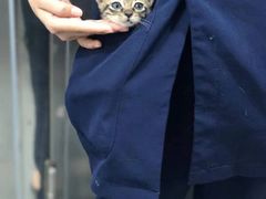 -拜鲁耶动物诊疗中心·宠家动物医院