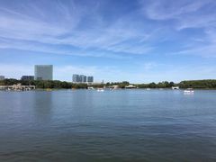 -大兴滨河森林公园