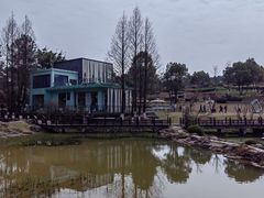 -铁山坪森林公园