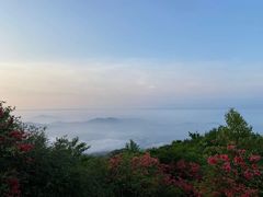 -大围山国家森林公园