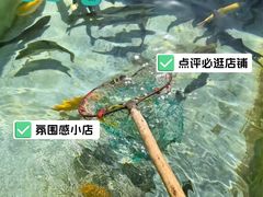 -向外鱼乐·土菜·虹鳟鱼