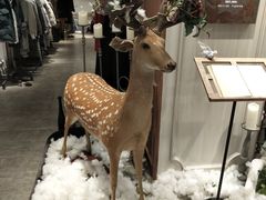 -远大购物中心(南岗店)