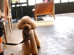 -静香HOUSE·全时段融合餐厅(七星欢乐颂店)