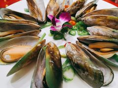 -轩记海鲜餐厅·四十五年老字号·经典粤菜(西区彩虹店)