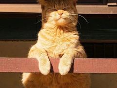 -晨枫酒店(苏州观前步行街店)