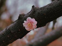 景点-北京明城墙遗址公园