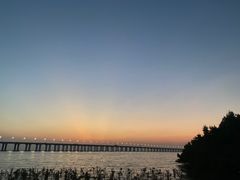 -宝安西湾红树林湿地公园