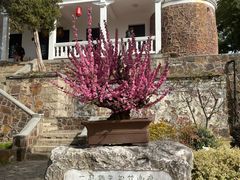 -无锡梅园公园