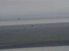 -湖南东洞庭湖国家级自然保护区