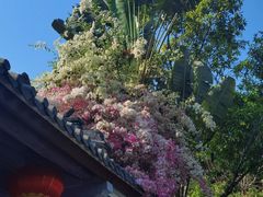 -河北省园博园