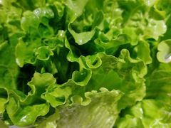 -古乐牛香·鲜牛肉牛杂火锅(吴江三里桥运东商业广场店)